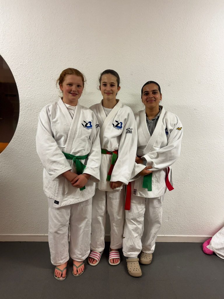 championnat departemental minimes cadets - judo bernanos le havre